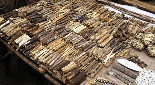 Article : RACINES & FEUILLES: soins du nouveau né