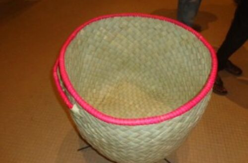 Article : Artisanat : l’art du tissage de fibre de rônier